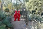 PICTURES/Desert Botanical Gardens - Wild Rising Cracking Art/t_Bears2.JPG